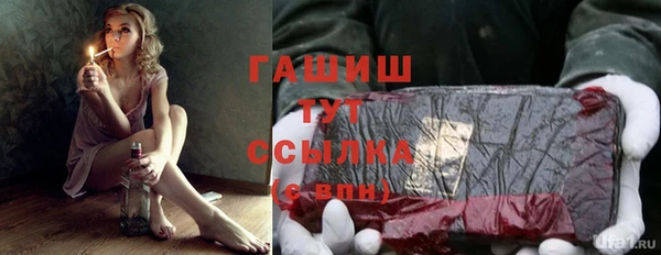 прущие грибы Заволжск