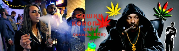 первитин Заводоуковск