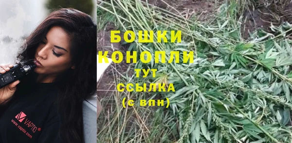 первитин Заводоуковск