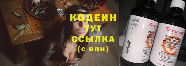 прущие грибы Заволжск