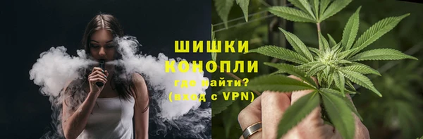 прущие грибы Заволжск