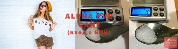 прущие грибы Заволжск
