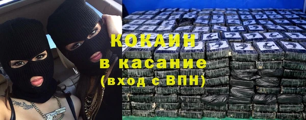 прущие грибы Заволжск