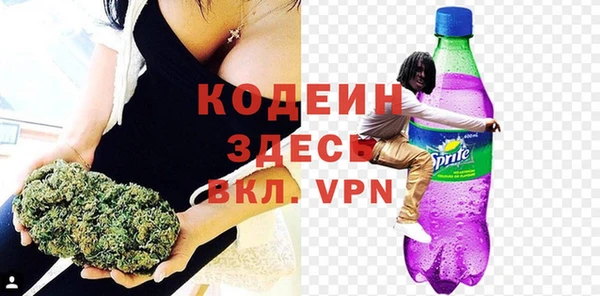 прущие грибы Заволжск