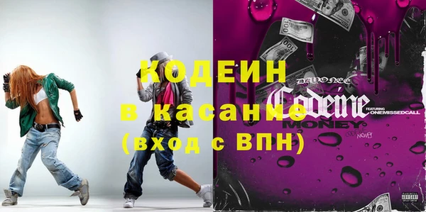 прущие грибы Заволжск