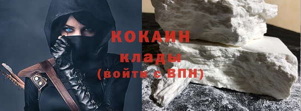 прущие грибы Заволжск