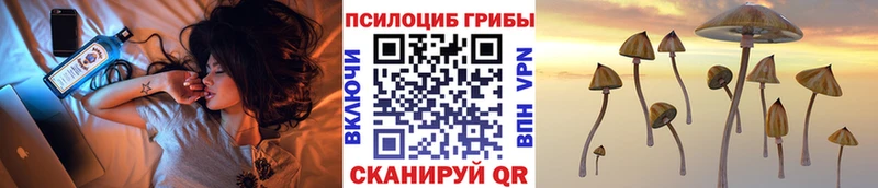 дарк нет состав  Заринск  Галлюциногенные грибы GOLDEN TEACHER  как найти закладки 