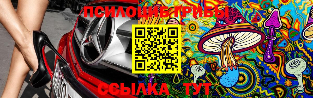 Псилоцибиновые грибы ЛСД  Псилоцибиновые грибы MAGIC MUSHROOMS  Вход с VPN  Заринск 